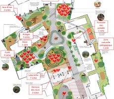 20-220127-Priorisation-Claire_Vivre