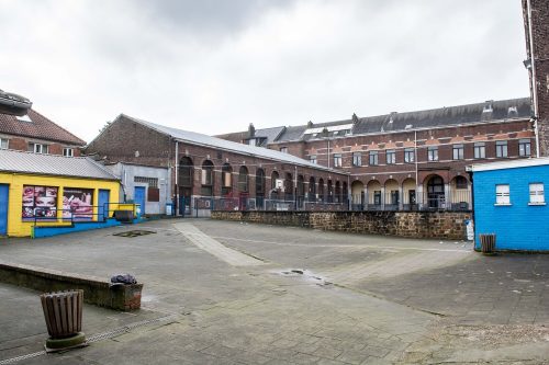 Ecoles, revégétalisation, Athénée Royal de Bruxelles 2