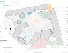 Diagnostic Technique