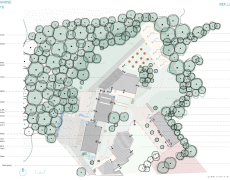 Diagnostic technique