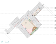 Diangostic Technique